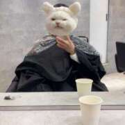 ヒメ日記 2025/02/08 11:31 投稿 サヤカ エピソード(品川)