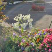 ヒメ日記 2025/03/08 20:31 投稿 サヤカ エピソード(品川)