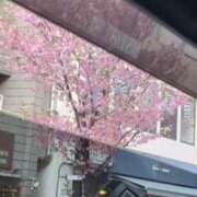 ヒメ日記 2025/05/03 14:31 投稿 サヤカ エピソード(品川)