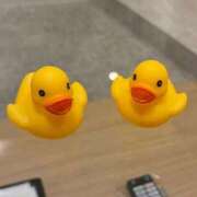 ヒメ日記 2026/04/13 21:16 投稿 サヤカ エピソード(品川)