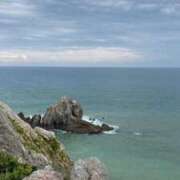 ヒメ日記 2025/01/31 09:22 投稿 ITO『イト』 GG