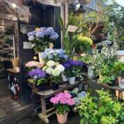 ヒメ日記 2025/06/11 09:29 投稿 ITO『イト』 GG