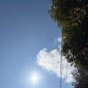 ヒメ日記 2025/07/30 09:19 投稿 ITO『イト』 GG