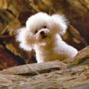 ヒメ日記 2025/08/22 15:53 投稿 みかり 大宮逆マッサージ