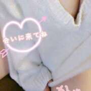 ヒメ日記 2024/12/28 21:59 投稿 かずは 大阪和泉ちゃんこ