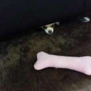 ヒメ日記 2024/12/22 01:15 投稿 折原　のぞみ しこたま奥様 札幌店