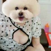 ヒメ日記 2025/02/03 18:31 投稿 折原　のぞみ しこたま奥様 札幌店