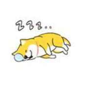 ヒメ日記 2025/02/20 00:49 投稿 折原　のぞみ しこたま奥様 札幌店