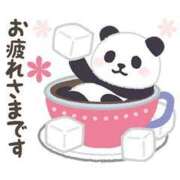 ヒメ日記 2025/03/11 17:15 投稿 折原　のぞみ しこたま奥様 札幌店