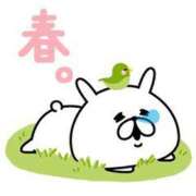 ヒメ日記 2025/03/13 16:05 投稿 折原　のぞみ しこたま奥様 札幌店