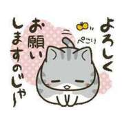 ヒメ日記 2025/03/19 17:15 投稿 折原　のぞみ しこたま奥様 札幌店