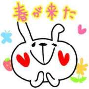 ヒメ日記 2025/04/05 20:45 投稿 折原　のぞみ しこたま奥様 札幌店