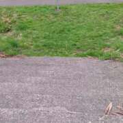 ヒメ日記 2025/04/24 15:25 投稿 折原　のぞみ しこたま奥様 札幌店