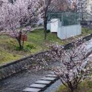 ヒメ日記 2025/04/28 21:45 投稿 折原　のぞみ しこたま奥様 札幌店