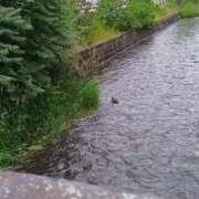 ヒメ日記 2025/06/23 16:35 投稿 折原　のぞみ しこたま奥様 札幌店