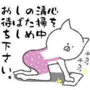 ヒメ日記 2025/07/14 08:15 投稿 折原　のぞみ しこたま奥様 札幌店