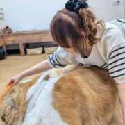 ヒメ日記 2025/07/16 03:45 投稿 折原　のぞみ しこたま奥様 札幌店