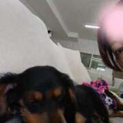 ヒメ日記 2025/09/25 01:45 投稿 折原　のぞみ しこたま奥様 札幌店