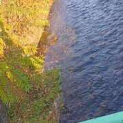 ヒメ日記 2025/11/25 20:25 投稿 折原　のぞみ しこたま奥様 札幌店