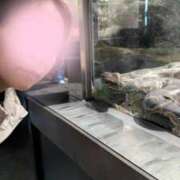 ヒメ日記 2025/12/03 08:49 投稿 折原　のぞみ しこたま奥様 札幌店