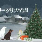 ヒメ日記 2025/12/25 19:56 投稿 折原　のぞみ しこたま奥様 札幌店