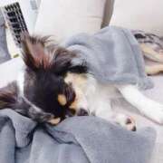 ヒメ日記 2026/03/06 07:36 投稿 折原　のぞみ しこたま奥様 札幌店