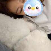 ヒメ日記 2026/03/08 09:56 投稿 折原　のぞみ しこたま奥様 札幌店