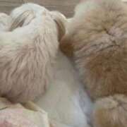 ヒメ日記 2025/09/09 19:08 投稿 みな チューリップ土浦店