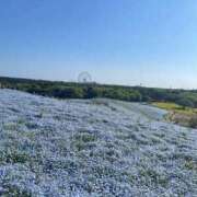 ヒメ日記 2025/09/15 16:38 投稿 みな チューリップ土浦店