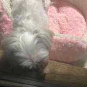 ヒメ日記 2025/09/27 07:08 投稿 みな チューリップ土浦店