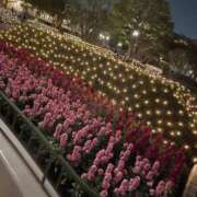 ヒメ日記 2025/09/27 13:18 投稿 みな チューリップ土浦店