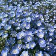 ヒメ日記 2025/10/04 11:56 投稿 みな チューリップ土浦店