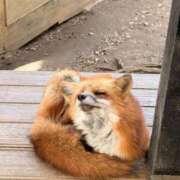 ヒメ日記 2025/11/01 19:18 投稿 みな チューリップ土浦店