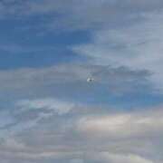 みな たくさん チューリップ土浦店