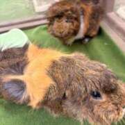 ヒメ日記 2025/12/21 08:38 投稿 みな チューリップ土浦店