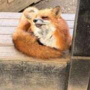 ヒメ日記 2026/01/18 10:33 投稿 みな チューリップ土浦店