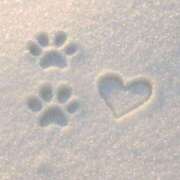 ヒメ日記 2026/01/21 21:01 投稿 深津　いよな エテルナ京都