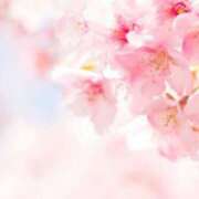 ヒメ日記 2025/03/01 19:45 投稿 さとみ 艶熟妻 京都店