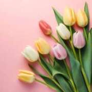 ヒメ日記 2025/04/21 21:01 投稿 さとみ 艶熟妻 京都店