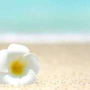 ヒメ日記 2025/07/19 21:22 投稿 さとみ 艶熟妻 京都店