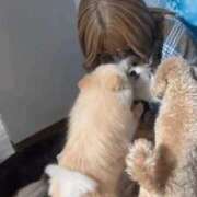 ヒメ日記 2025/03/06 06:33 投稿 【とうか】潮吹きパイパン娘♪ バブルリングプラス