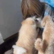 ヒメ日記 2025/05/19 03:18 投稿 【とうか】潮吹きパイパン娘♪ バブルリングプラス