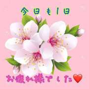 ヒメ日記 2025/04/03 00:31 投稿 ゆづき 栃木小山ちゃんこ