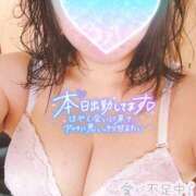 ヒメ日記 2025/04/05 12:01 投稿 ゆづき 栃木小山ちゃんこ