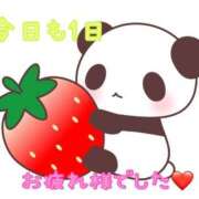 ヒメ日記 2025/04/12 01:46 投稿 ゆづき 栃木小山ちゃんこ