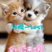 ヒメ日記 2025/05/25 07:38 投稿 ゆづき 栃木小山ちゃんこ