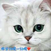 ヒメ日記 2025/05/31 11:14 投稿 ゆづき 栃木小山ちゃんこ