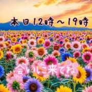 ヒメ日記 2025/06/02 08:39 投稿 ゆづき 栃木小山ちゃんこ