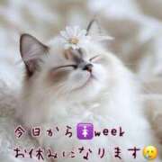 ヒメ日記 2025/06/12 10:59 投稿 ゆづき 栃木小山ちゃんこ