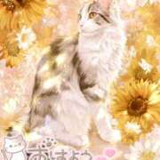 ヒメ日記 2025/07/12 10:53 投稿 ゆづき 栃木小山ちゃんこ